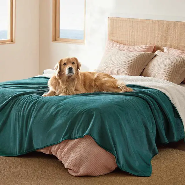 Main image of Waterproof Blanket for Bed Soft Sherpa Fleece Throw,Queen 90x86 | Plush Cozy Calming Reversible Dog Blankets for Large Senior Dogs,Warm Bed Couch Cover,Pet Furniture Protector,Green