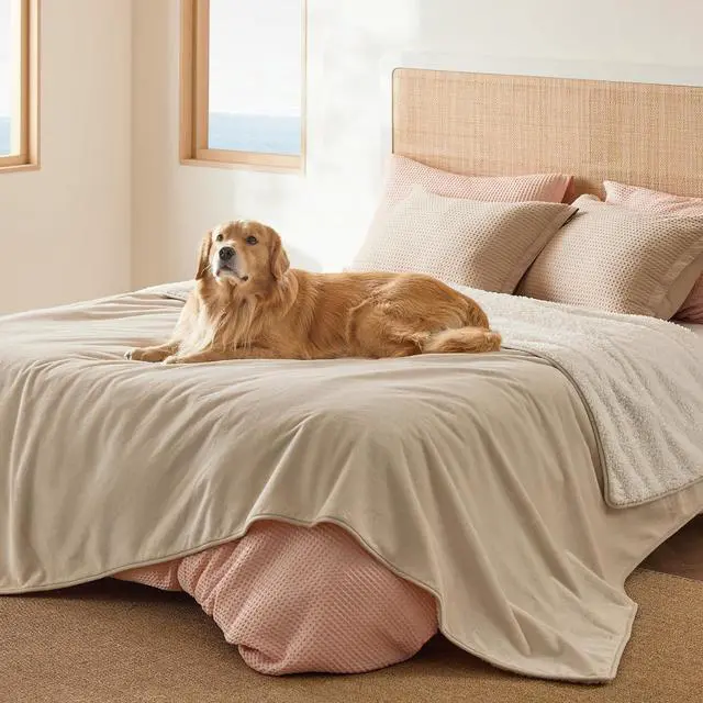 Main image of Waterproof Blanket for Bed Soft Sherpa Fleece Throw,Queen 90x86 | Plush Cozy Calming Reversible Dog Blankets for Large Senior Dogs,Warm Bed Couch Cover,Pet Furniture Protector,Cream