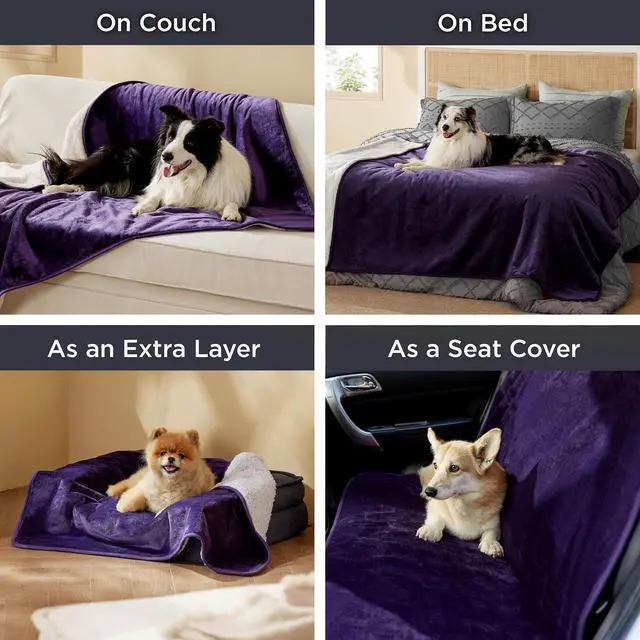 Alt view image 6 of 7 - Waterproof Blanket for Bed Soft Sherpa Fleece Throw,Queen 90x86 | Plush Cozy Calming Reversible Dog Blankets for Large Senior Dogs,Warm Bed Couch Cover,Pet Furniture Protector,Eggplant