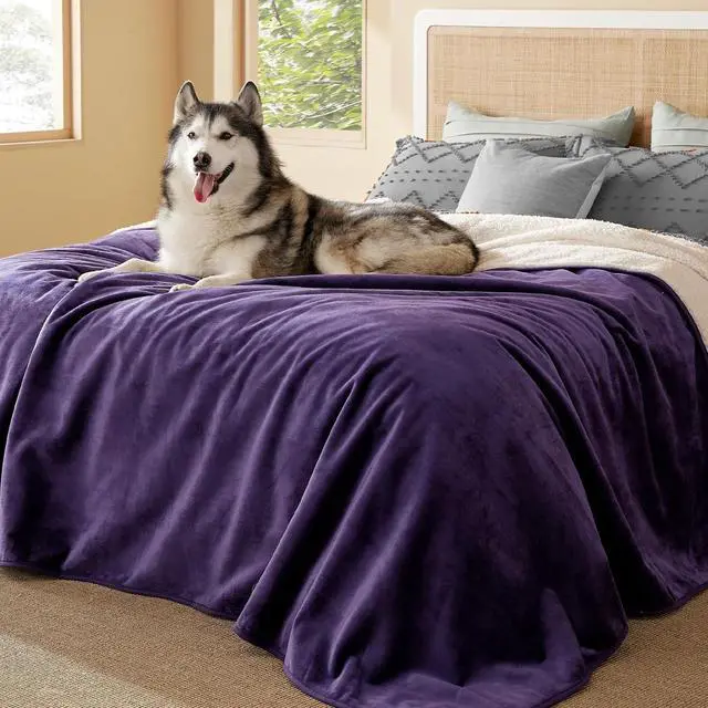 Main image of Waterproof Blanket for Bed Soft Sherpa Fleece Throw,King 108"x86" | Plush Cozy Calming Reversible Dog Blankets for Large Senior Dogs,Warm Bed Couch Cover,Pet Furniture Protector,Eggplant