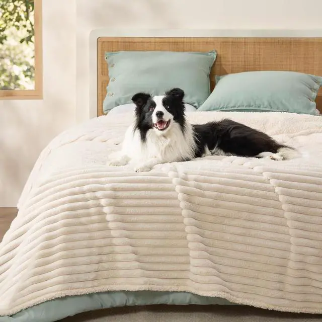 Main image of ComfyFleece Waterproof Blanket for Bed, Queen86"x108" Cream | Soft Plush Bed Couch Cover Corduroy Fleece for Furniture Protector, Cozy Calming Reversible Dog Blankets for Large Dogs Pet