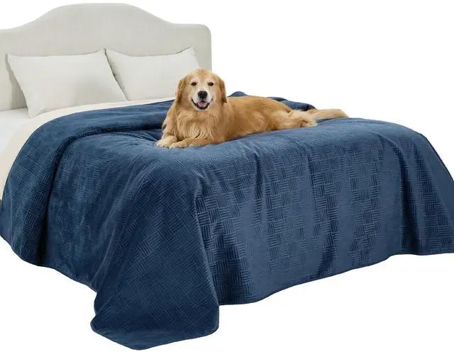 Main image of Waterproof Bed Cover for Bed and Dogs Quick Drying, 82x102IN | Waterproof Blanket Washable for Large Dogs King Bed Cozy, Lightweight Furniture Protector for Pet Cat, Ash Grey