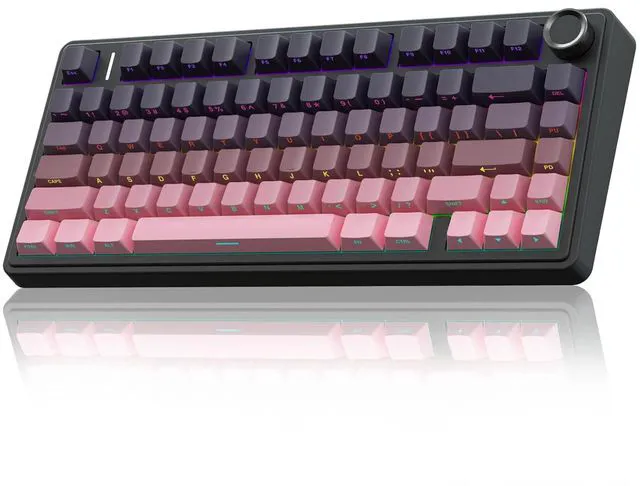 Main image of F75 Pro Wireless Mechanical Keyboard,75% Hot Swappable Custom Keyboard,RGB Backlit,Pre-lubed Reaper Switches,Side Printed PBT Keycaps Mechanical Gaming Keyboards, Pink&Black