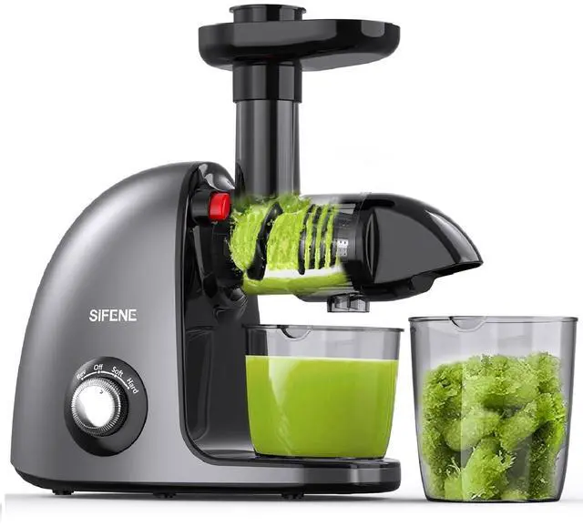 Main image of Slow Masticating Juicer, Cold Press Juicer Machine for High Nutrient Juice, Quiet Motor, Reverse Function, Easy to Clean, Compact Design, Gray
