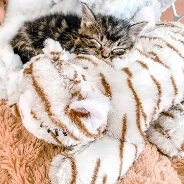 Alt view image 5 of 6 - Replacement Motion-Activated SmartBeat Heart for Stuffed Animals and Anti-Anxiety Toys for Dogs