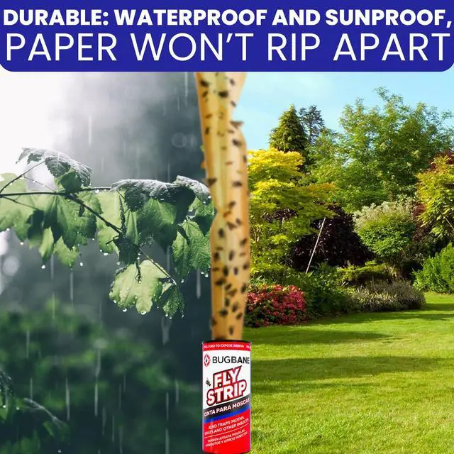 Alt view image 7 of 7 - Fly Strips Indoor Sticky Hanging 24pk with Pins. Non Toxic Outdoor Fly Trap Indoor for Home. Flies Tape Paper Trap Ribbon Roll for House Gnat Fruit and Housefly. Bug Catchers for Inside Home Flypaper.