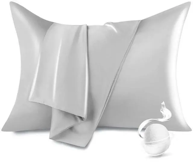 Main image of 100% Pure Mulberry Silk Pillowcase for Hair and Skin, Standard Size 20*26 Cooling Silk Pillow Case by Zipper Closure, Smooth Dual Sides Bed Silk Pillow Cover for Women.(Light Gray, Standard-1 Pcs)