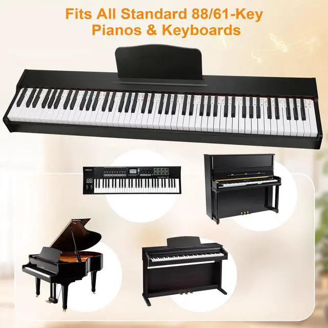 Alt view image 7 of 7 - Premium Silicone Piano Keyboard Note Labels for Beginners, Removable & Reusable Piano Keyboard Stickers for Learning, 88 Key Full Size Piano Notes Guide with Storage Box (Rainbow Colors)