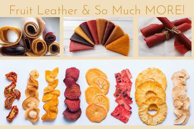 Alt view image 2 of 7 - 2 Edge Fruit Leather Silicone Dehydrator Sheets for Nesco Round Dehydrators Lip Mold Hold Batter Liquid Fruit Roll Up Fruit Leather Circle Reusable Flexible Non Stick Non-Toxic
