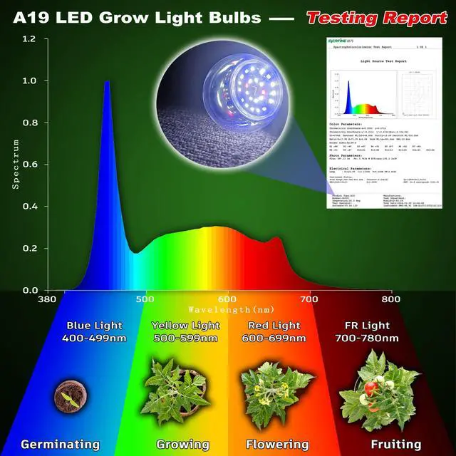 Alt view image 3 of 7 - Grow Light Bulbs for Indoor Plants Full Spectrum,E26 A19 Grow LED Lamp Bulb 10W with Balanced Spectrum 5000K Red Blue for Seeds Greens Laboratory,School,Greenhouse, Indore Garden, Hydroponic,3Pack