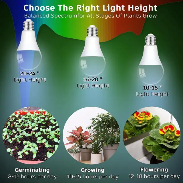 Alt view image 5 of 7 - Grow Light Bulbs for Indoor Plants Full Spectrum,E26 A19 Grow LED Lamp Bulb 10W with Balanced Spectrum 5000K Red Blue for Seeds Greens Laboratory,School,Greenhouse, Indore Garden, Hydroponic,3Pack