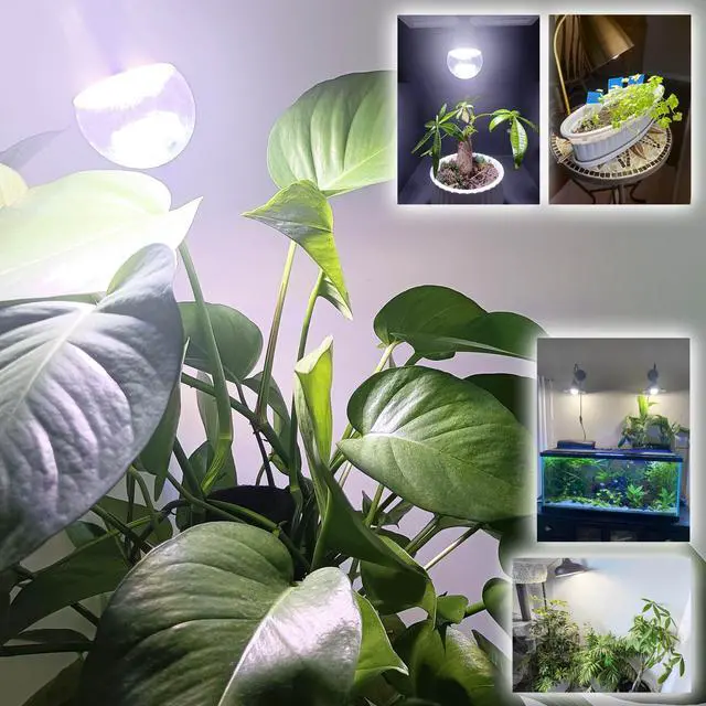 Alt view image 7 of 7 - Grow Light Bulbs for Indoor Plants Full Spectrum,E26 A19 Grow LED Lamp Bulb 10W with Balanced Spectrum 5000K Red Blue for Seeds Greens Laboratory,School,Greenhouse, Indore Garden, Hydroponic,3Pack