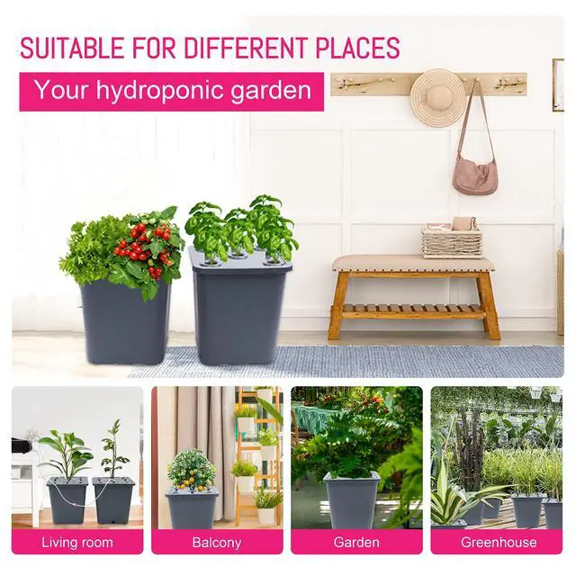 Alt view image 3 of 7 - LAWNFUL 2 Hydroponic Buckets Kit for Plants, Hydroponics Growing System for Herbs/Tomato/Vegetables, DWC System with Air Pump & Germination Tray (Complete Indoor Hydroponic Gardening Supplies)
