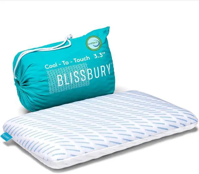Main image of BLISSBURY 3.3 Inch Cooling Super Thin Pillow for Sleeping | Flat for Stomach & Back Sleeper | Cooling Memory Foam to Provide Comfort When Resting | Removable Cool-to-Touch Pillow Case