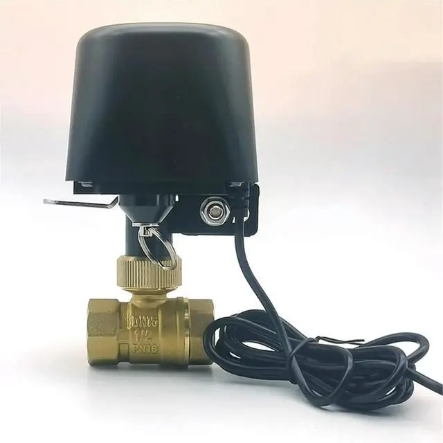 Alt view image 3 of 3 - Water Valve DN20,App Remote Control Faucet Timer, Assistant Compatible-EU Plug