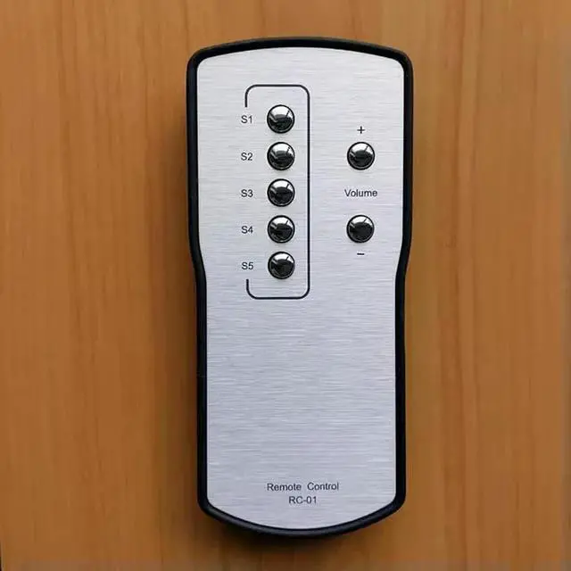 Main image of DS V8i, V6i remote control RC-01