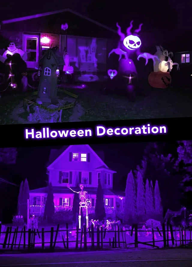 Alt view image 2 of 7 - Elenora Halloween Spotlights Outdoor, 15W LED Black Light/Blacklight for Glow Party Body Paint Fluorescent Poster, 110V Plug-in Spot Light IP65 Waterproof Landscape Lighting for Yard Garden, 2 Pack