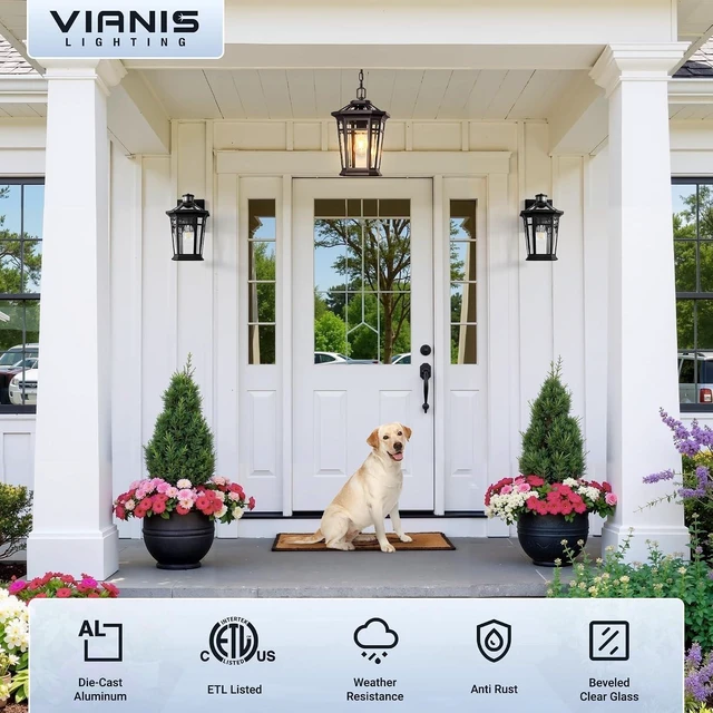 Alt view image 6 of 7 - VIANIS Large Outdoor Pendant Light, Oil Rubbed Bronze Outside Hanging Light