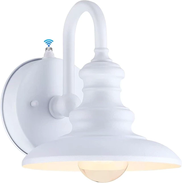 Main image of LONEDRUID Dusk to Dawn Sensor Outdoor Gooseneck Barn Light Fixture White
