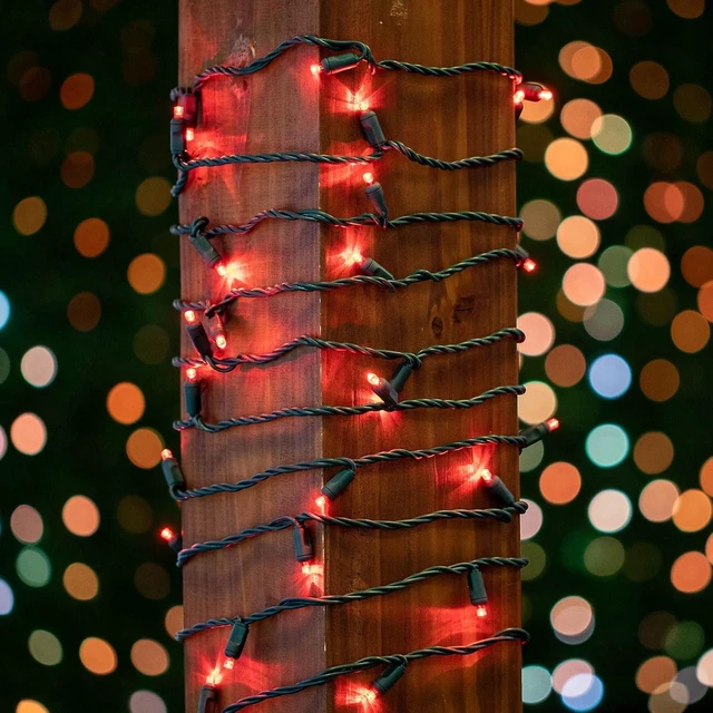 Alt view image 3 of 7 - Novelty Lights 25ft 50 LED Red Christmas Lights, Green Wire String Lights