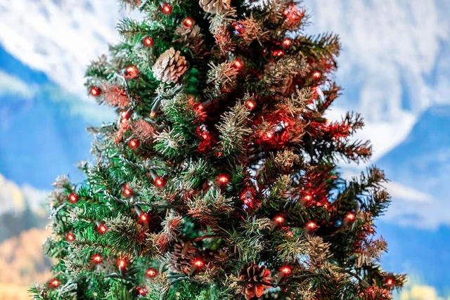Alt view image 5 of 7 - Novelty Lights 25ft 50 LED Red Christmas Lights, Green Wire String Lights
