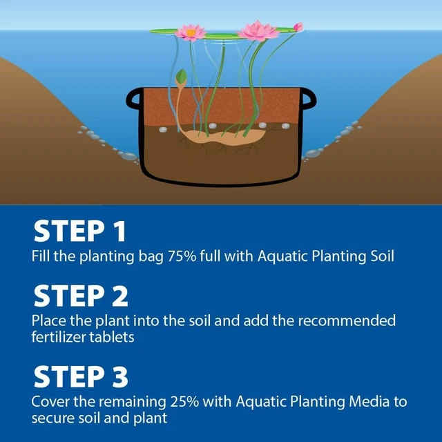Alt view image 5 of 7 - Water Lily & Lotus Planting Kit, Large