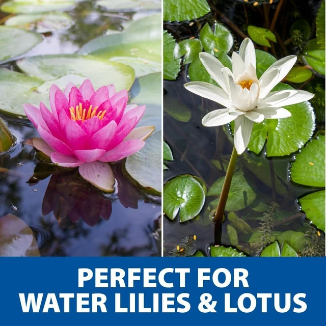 Alt view image 7 of 7 - Water Lily & Lotus Planting Kit, Large