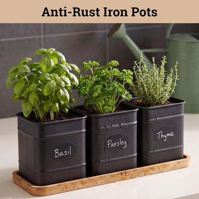 Alt view image 3 of 7 - Herb Planter Indoor, 3-pc Herb Pots w/ Drainage Holes, Bamboo Tray & Labels