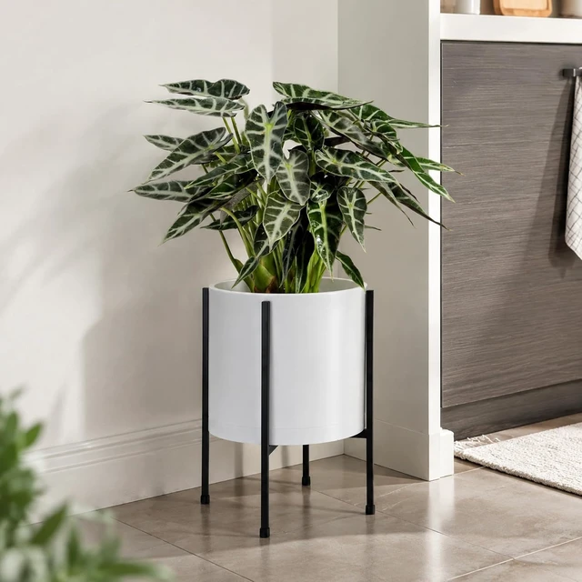 Alt view image 6 of 7 - D'vine Dev Plastic Planter Pot with Metal Stand, White, 10 in, 55-D-A-2