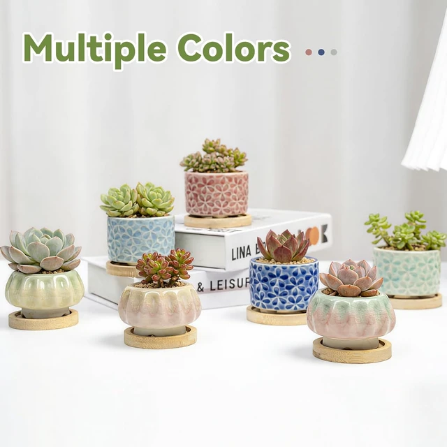 Alt view image 2 of 7 - 8 Pcs Succulent Pots with Ice Crack Glaze, 2 Shapes & 8 Colors Ceramic Succulent Planters with Drainage Holes & Bamboo Saucers, Indoor Plant Pots for Home GardenDesk Decor, Office Decor, Gift Idea