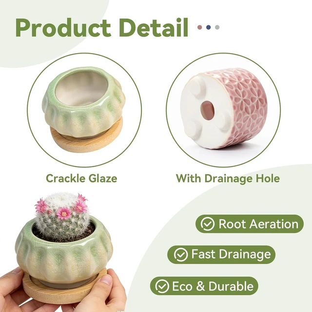 Alt view image 4 of 7 - 8 Pcs Succulent Pots with Ice Crack Glaze, 2 Shapes & 8 Colors Ceramic Succulent Planters with Drainage Holes & Bamboo Saucers, Indoor Plant Pots for Home GardenDesk Decor, Office Decor, Gift Idea
