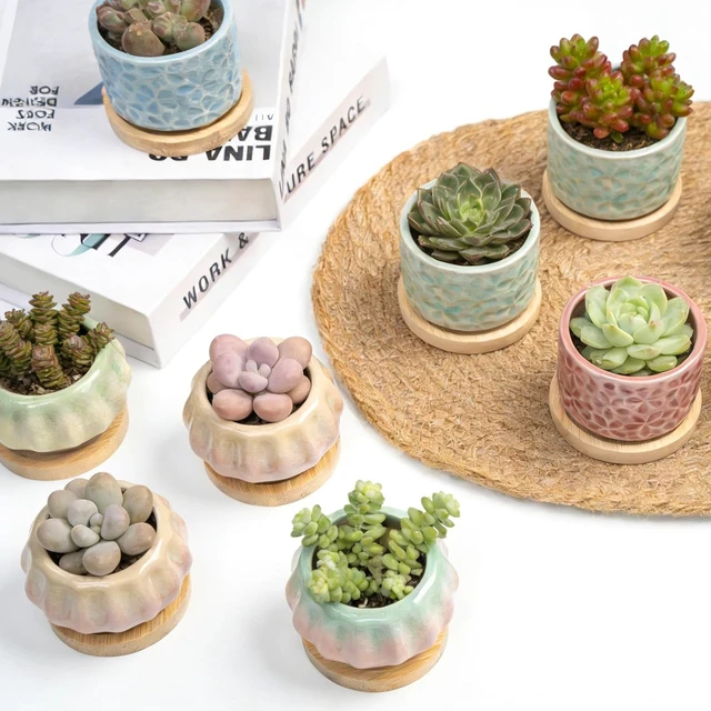 Alt view image 3 of 7 - 8 Pcs Succulent Pots with Ice Crack Glaze, 2 Shapes & 8 Colors Ceramic Succulent Planters with Drainage Holes & Bamboo Saucers, Indoor Plant Pots for Home GardenDesk Decor, Office Decor, Gift Idea