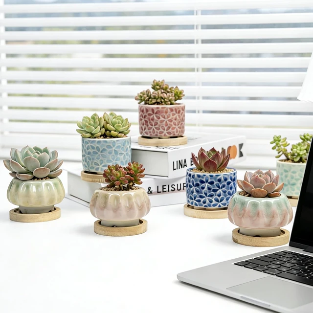 Alt view image 6 of 7 - 8 Pcs Succulent Pots with Ice Crack Glaze, 2 Shapes & 8 Colors Ceramic Succulent Planters with Drainage Holes & Bamboo Saucers, Indoor Plant Pots for Home GardenDesk Decor, Office Decor, Gift Idea
