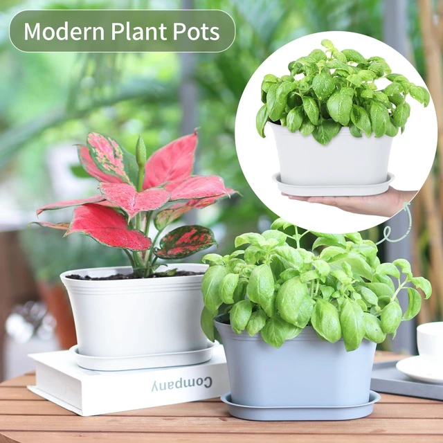 Alt view image 3 of 7 - 6pk Windowsill Planters, White Plastic w/Drain Tray - Indoor/Outdoor