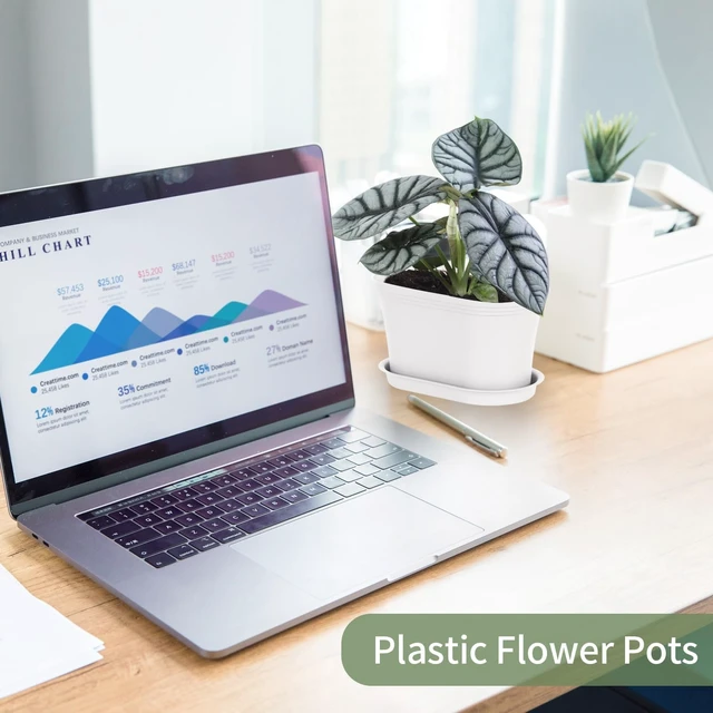 Alt view image 7 of 7 - 6pk Windowsill Planters, White Plastic w/Drain Tray - Indoor/Outdoor