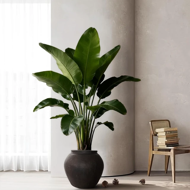 Alt view image 2 of 7 - 12" H x 14" Dia Fiberstone Vintage Style Planter with Drainage Hole, Indoor/Outdoor Large Plant Pot for Home Patio Garden, Ideal for Artificial Tree/Plants