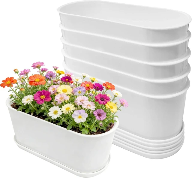 Main image of 5-Pack White Herb Planter Box with Drip Trays, 8.5 Inch Small Oval Window Planters for Kitchen Sill, Indoor Outdoor, Perfect for Basil, Mint, Succulents, Flowers