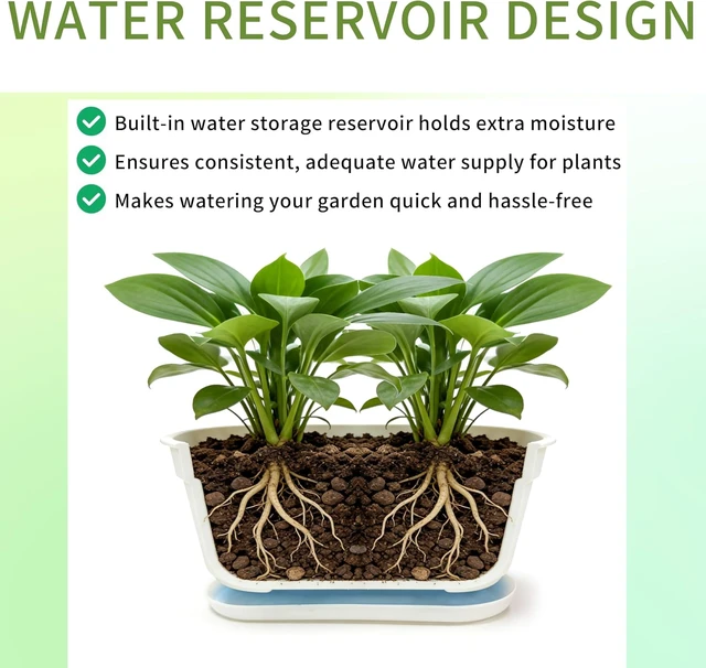 Alt view image 4 of 7 - 5-Pack White Herb Planter Box with Drip Trays, 8.5 Inch Small Oval Window Planters for Kitchen Sill, Indoor Outdoor, Perfect for Basil, Mint, Succulents, Flowers