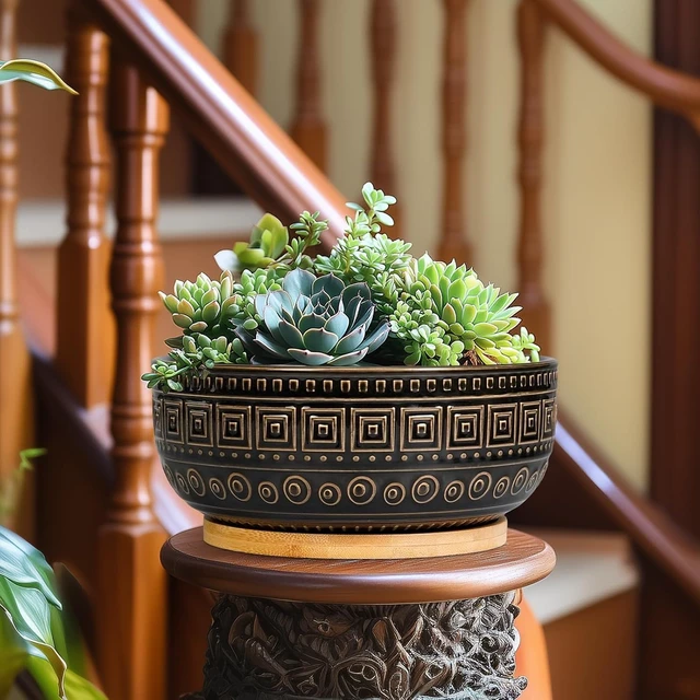 Alt view image 4 of 7 - G EPGardening 8 Inch Ceramic Succulent Planter Pots for Indoor Plants Round Shallow Bonsai Planter Pot with Drainage and Bamboo Saucer, Black
