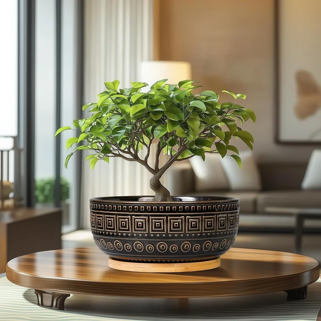 Alt view image 2 of 7 - G EPGardening 8 Inch Ceramic Succulent Planter Pots for Indoor Plants Round Shallow Bonsai Planter Pot with Drainage and Bamboo Saucer, Black