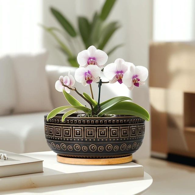 Alt view image 6 of 7 - G EPGardening 8 Inch Ceramic Succulent Planter Pots for Indoor Plants Round Shallow Bonsai Planter Pot with Drainage and Bamboo Saucer, Black