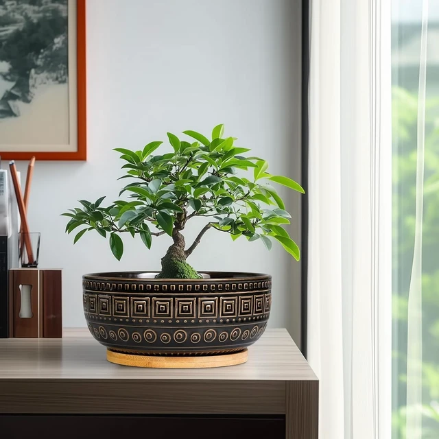 Alt view image 7 of 7 - G EPGardening 8 Inch Ceramic Succulent Planter Pots for Indoor Plants Round Shallow Bonsai Planter Pot with Drainage and Bamboo Saucer, Black