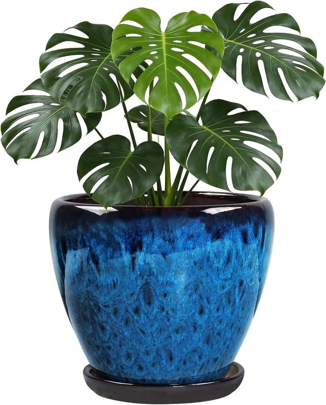 Main image of Ceramic Plant Pots With Saucer & Drainage Hole, 10 inch Indoor Flower Pots