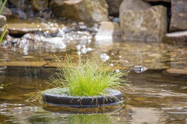 Main image of PondH2o Floating Aquatic Pond Planter Basket, 10 Inch (26cm) Round
