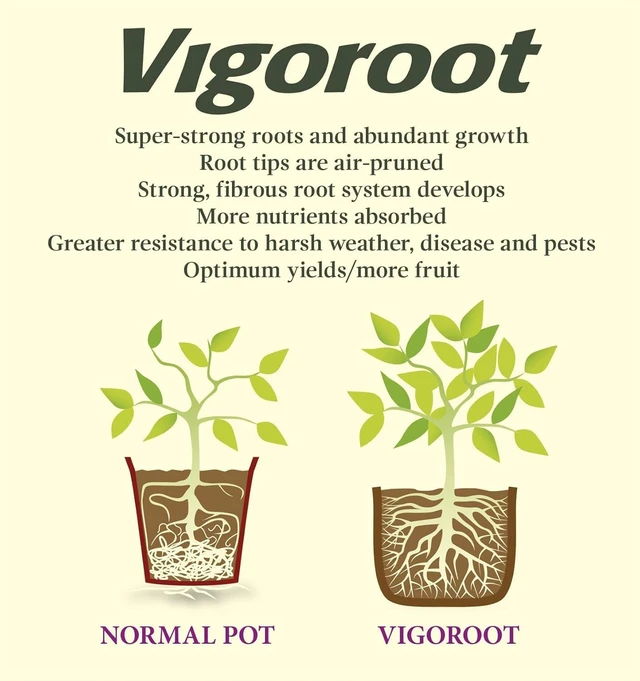 Alt view image 7 of 7 - Tierra Garden 50-VIG12 Haxnicks Vigoroot Tomato/Potato Planter