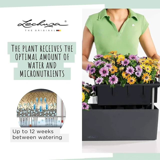 Alt view image 4 of 7 - Lechuza 15707 Balconera Color 80 Self-Watering Planter for Indoor and Outdoor Use, 31" x 7" x7", Light Grey