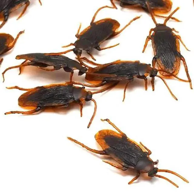 Alt view image 2 of 4 - 40 Prank Cockroaches Realistic Cock Roach Rubber Fake Creepy Bugs Gag Toy Joke
