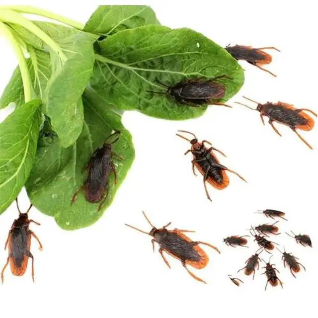 Alt view image 3 of 4 - 40 Prank Cockroaches Realistic Cock Roach Rubber Fake Creepy Bugs Gag Toy Joke