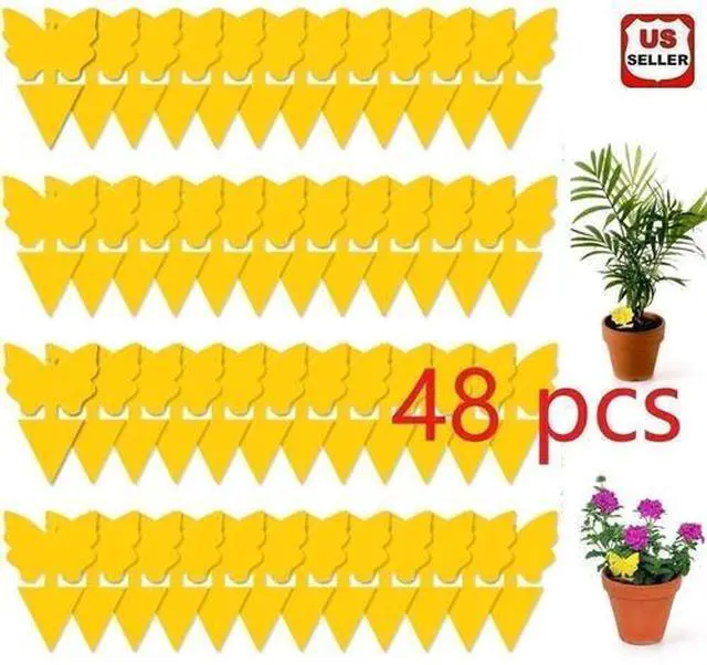 Main image of Sticky Fruit Fly Traps, Fungus Gnat Killer Trap use for Indoor Outdoor, 48 pcs