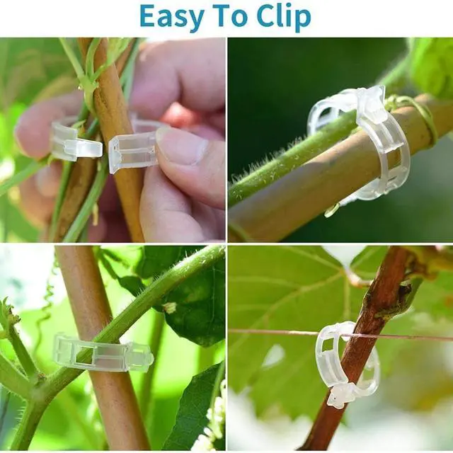 Alt view image 7 of 7 - 250 PCS Tomato Clips 23 mm Trellis Support Vegetable Garden Plant Binder
